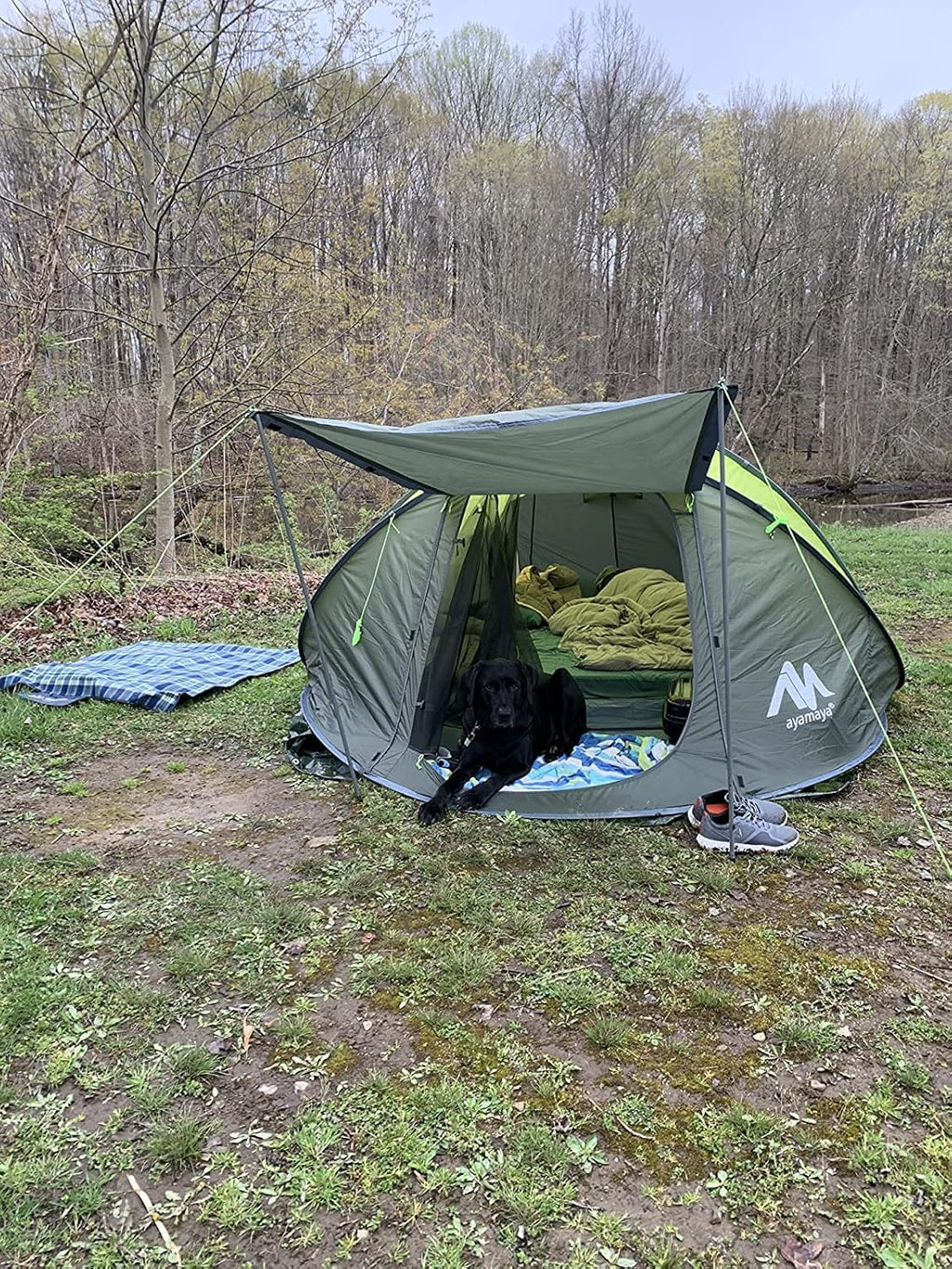 6 Person Easy Pop up Tents for Camping -  Double Layer Waterproof Instant Tent with Vestibule & Porch, Large Size Family Tent Automatic Setup for 4-6 People Camping Hiking (Poles Included)