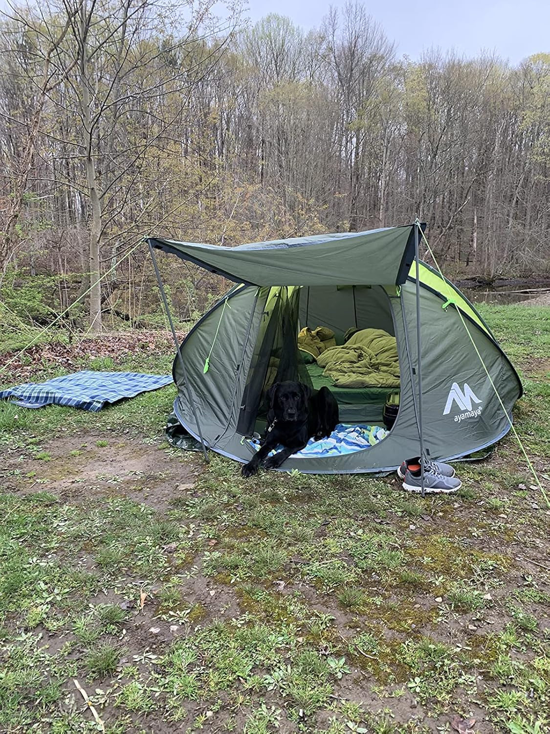 6 Person Easy Pop up Tents for Camping -  Double Layer Waterproof Instant Tent with Vestibule & Porch, Large Size Family Tent Automatic Setup for 4-6 People Camping Hiking (Poles Included)